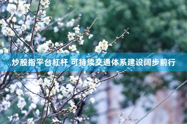 炒股指平台杠杆 可持续交通体系建设阔步前行