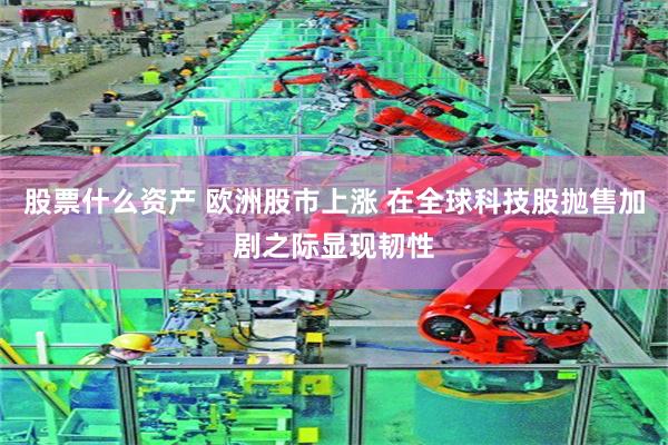 股票什么资产 欧洲股市上涨 在全球科技股抛售加剧之际显现韧性