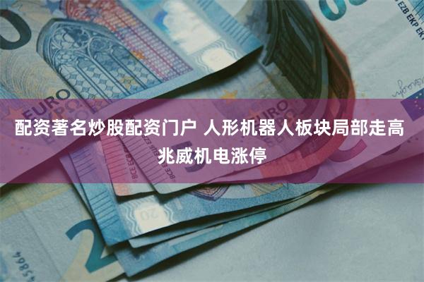 配资著名炒股配资门户 人形机器人板块局部走高 兆威机电涨停