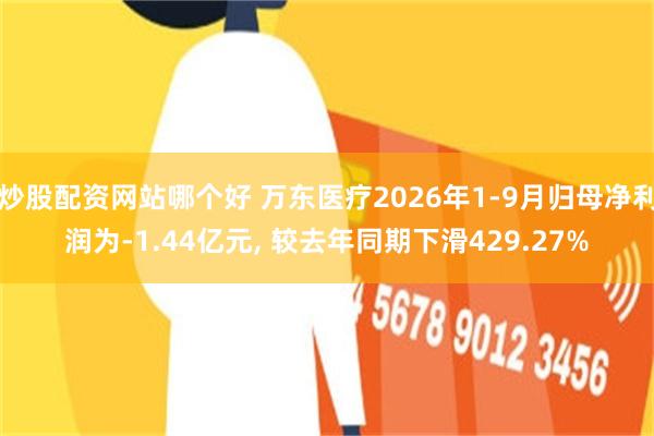 炒股配资网站哪个好 万东医疗2026年1-9月归母净利润为-1.44亿元, 较去年同期下滑429.27%